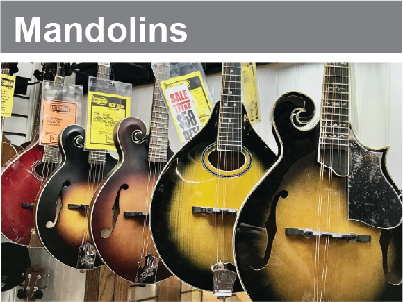 “Shop Mandolins